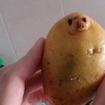 [댓글부탁해] 나 진짜 ㄹㅇ쌍수하고 눈망한 사람<b>봄</b>