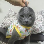 판은 왜 유독 예쁘다는 글에 <b>화나</b>있을까
