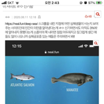 [댓글부탁해] 그릭 요<b>거트</b>..??..??..?????