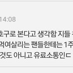 내본진 버블 보내는거 ㅈㄴ<b>기절</b>하겠음