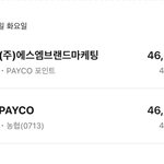 [NCT칠프] 플탈 또 미안ㅜㅜ페이코 이게 <b>정상</b>이야?
