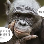 [댓글부탁해] 판녀들 도와줘 머리를 맞대야 해 제발요 언니들