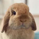 [방탄소년단] 정구기가 내 편견 다 없앰