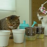 <b>내손</b> 예쁜뎅