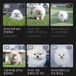 <b>포메</b> 분양가 왜이렇게 높아