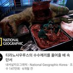 [19] 공룡<b>해부</b> 레전드