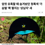 [방탄소년단] 아무래도 정국이 우리한테