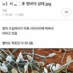 [19] 아미친 <b>구웨</b>에에에에에엑;;;