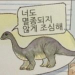 [댓글부탁해] 창문 열어뒀더니 모기 개많이물림