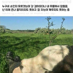 쌍테붙이고 <b>자면</b>