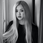 이거 <b>로제</b>야???