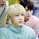 아스트로 진진이랑 스키즈 한 닮은것같음