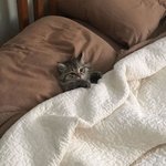 <b>쌀쌀</b>해진 요즘 아침, 내 모습 보는 줄...