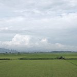 사랑 별거 없다