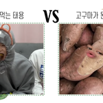 [NCT칠프] 툥프들아 심심하면 이거 해봐