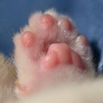 [드루와] 알바면접 <b>사장</b>이 30-40분 늦으면 먼생각드냐