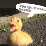 [19] 짝남이랑 <b>디엠</b>하는데 개설렘 ㅠㅜ