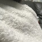 [ㅈㄱㄴ] 내 <b>담요</b>냄새 개좋늠