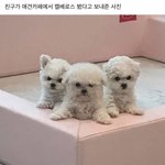 너네 국어모고 푸는 <b>순서</b> 머임 ?