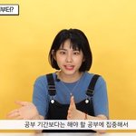 연고티비 제리랑 <b>노제</b>랑 닮은듯