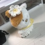 [NCT드림] 어머 우리 애 <b>천재</b> 아니야???!