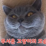 [NCT드림] 아 레전드 <b>바부</b>…