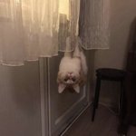 [NCT드림] 지금 내 탐라 상황