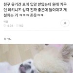 오늘 뽀<b>글</b>이 입을까 <b>추반</b>좀