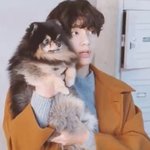 <b>뷔</b>랑 정국 반려견에서 성격차이 보이는듯