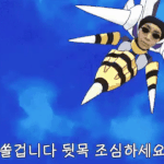 <b>독침</b>이