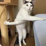[댓글부탁해] 내 취향 일관됨??