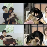 방탄 정국이랑 블핑 <b>리사</b>