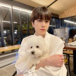 [드루와] 매일매일 오는 아이돌 <b>리노</b>, 영훈 밖에 없나