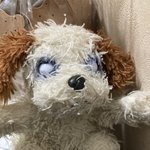 [댓글부탁해] 조금 무서운 내 동생 <b>애착</b>인형