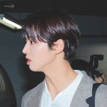 [펜타곤] <b>홍시</b> 개이쁘네