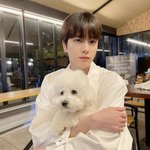 김영훈은 <b>무해</b>해