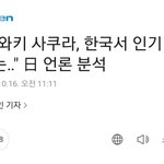 [댓글부탁해] <b>사쿠라</b> 일본에서 국뽕으로 오지게 추켜세워줌