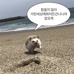 나 요즘 자존감 ㅈㄴ<b>바닥치</b>나봄…ㅋㅋ