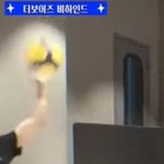 덥즈 공놀이 인생네컷 ㅋㅋㅋ