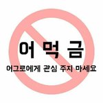 앵콜 얘기하는거 갤줌들이야