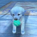 [드루와] 요새 <b>목티</b> 입기 괜찮아?