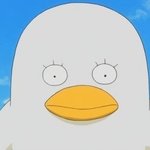 <b>저번</b> 통과 다 찍고 5등급나옴