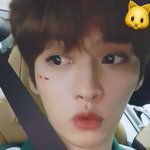 [스키즈] 오늘 리노리방