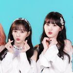 [모두드루와] 걸스플래닛 깡쥐토끼즈 영업글 !!!!!!!!!!