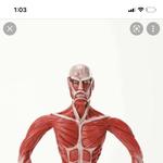 [진격의거인] <b>초대</b>형 거인 검색했는데