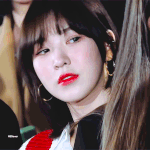 [모두드루와] <b>웬디</b> 짤털