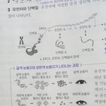 이거 귀엽지 않음?