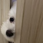 [드루와] 여드름 없애는 찐방법 알려줌