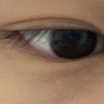 나 <b>짝눈</b>임?