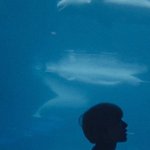 [NCT칠프] 정우 배경화면 가져가